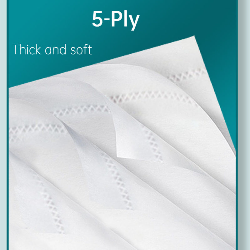 10 Rolls Toilet Paper, 5-Ply Thickened Toilet Tissue Paper Virgin Pulp, 100G Per Roll, Pack of 10 Rolls, Total Sheets 3000